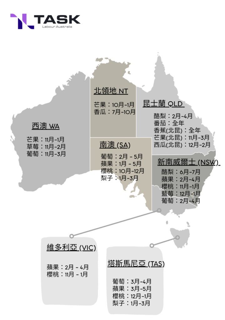 澳洲農場季節性工作安排